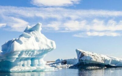 ANDREA FRANZETTI:  “Tanta microplastica nei ghiacciai quanta nelle spiagge“
